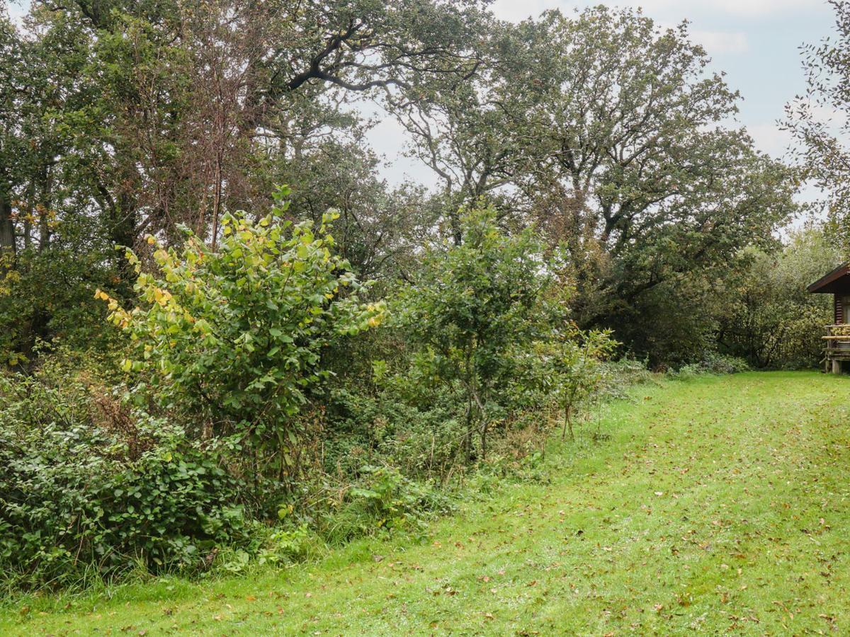 Braeburn Lodge Winkleigh Eksteriør bilde