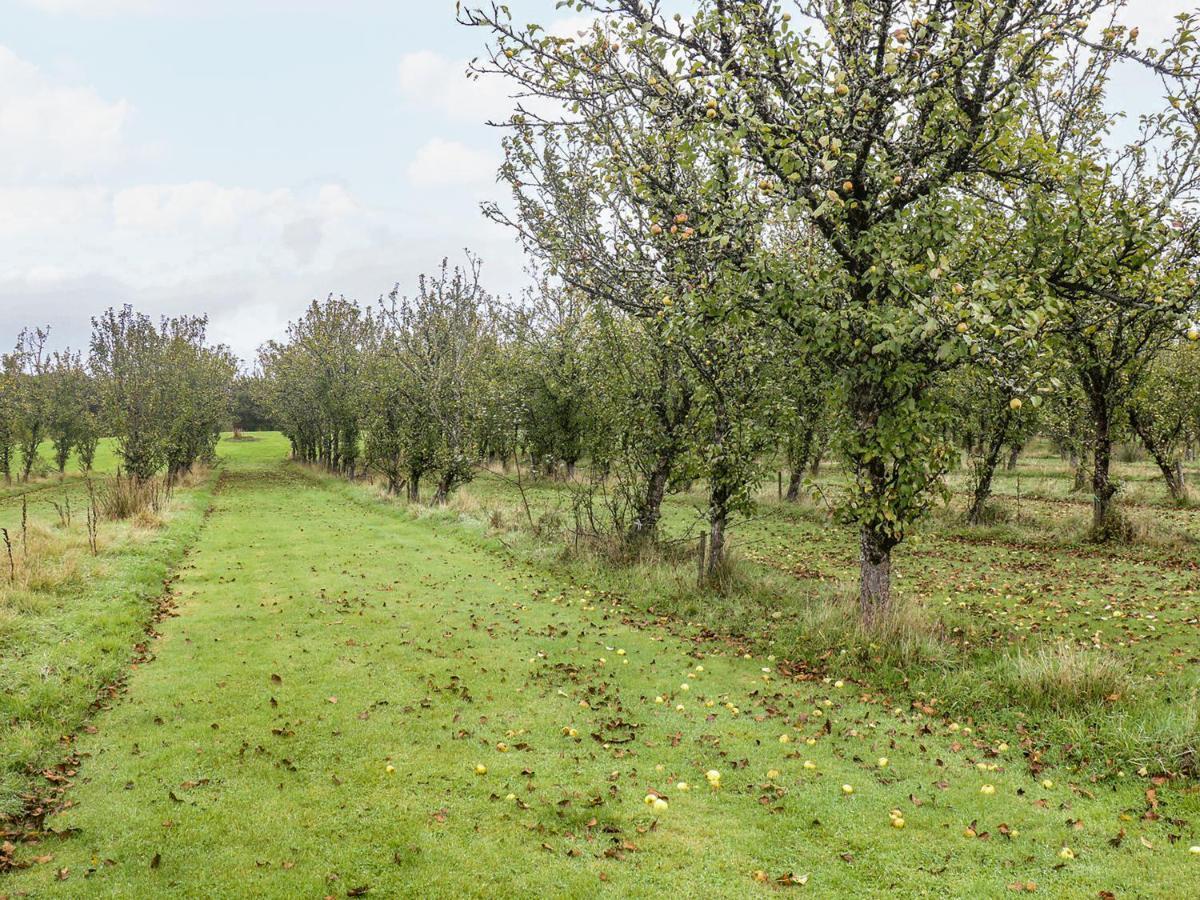 Braeburn Lodge Winkleigh Eksteriør bilde